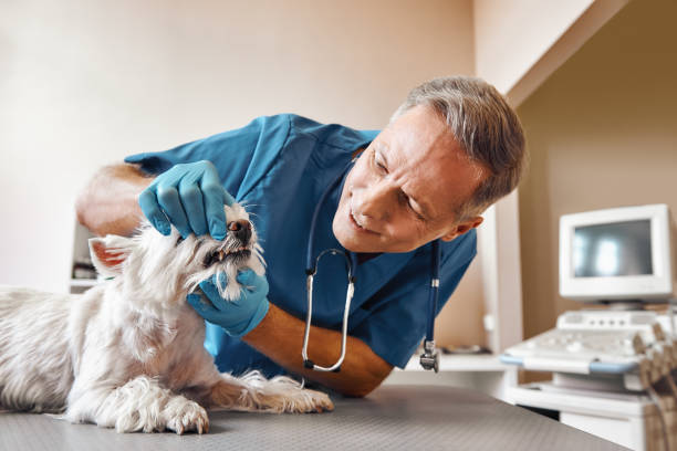Best Tooth Infection Emergency Dentist  in Newkirk, OK